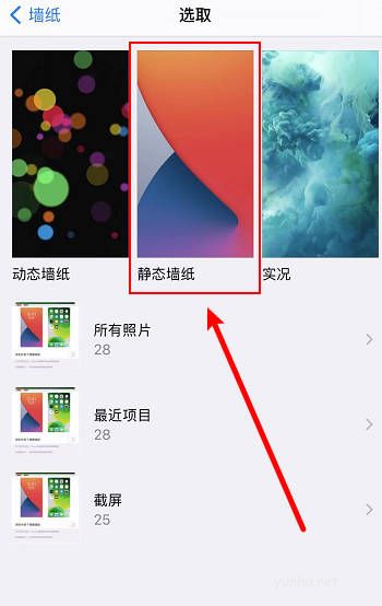 蘋果手機主題怎么設置(3)