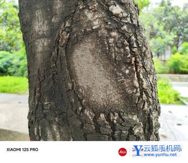 小米12SPro全面評測-性能深度測評