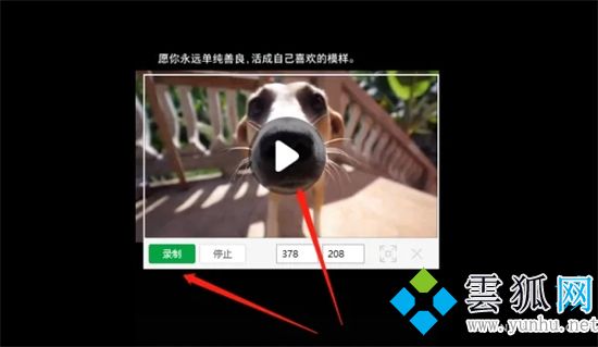 怎么把視頻轉換成gif動圖 怎么把視頻做成gif表情包