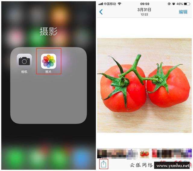iphone壁紙怎么設置（蘋果手機壁紙自定義教程）(1)