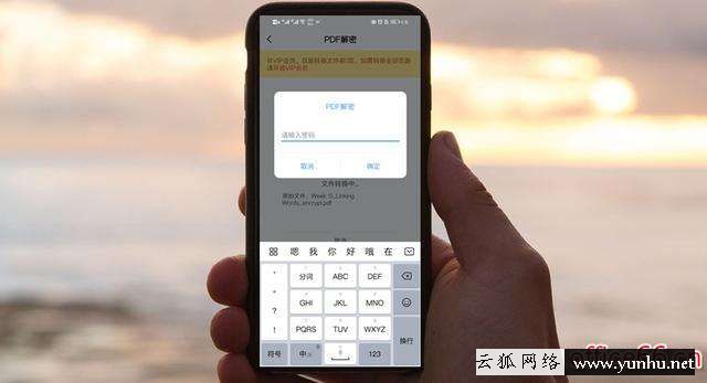 pdf加密了怎么破解（手機怎么解密已加密的PDF）(5)