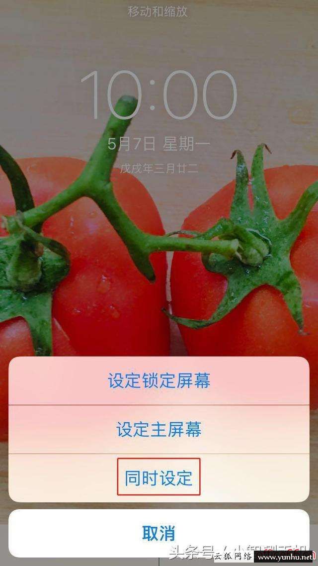iphone壁紙怎么設置（蘋果手機壁紙自定義教程）(3)
