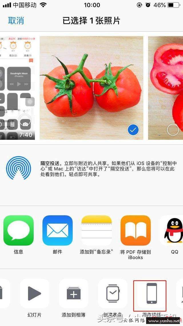 iphone壁紙怎么設置（蘋果手機壁紙自定義教程）(2)
