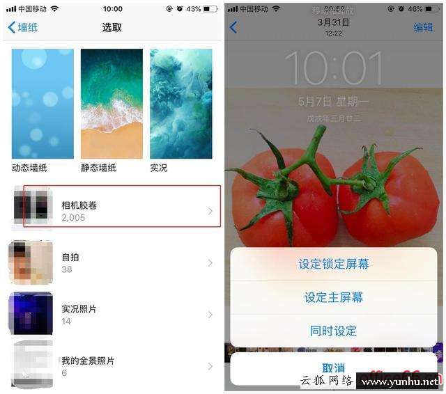iphone壁紙怎么設置（蘋果手機壁紙自定義教程）(5)