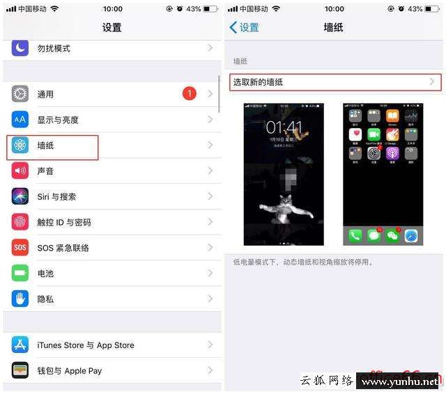 iphone壁紙怎么設置（蘋果手機壁紙自定義教程）(4)