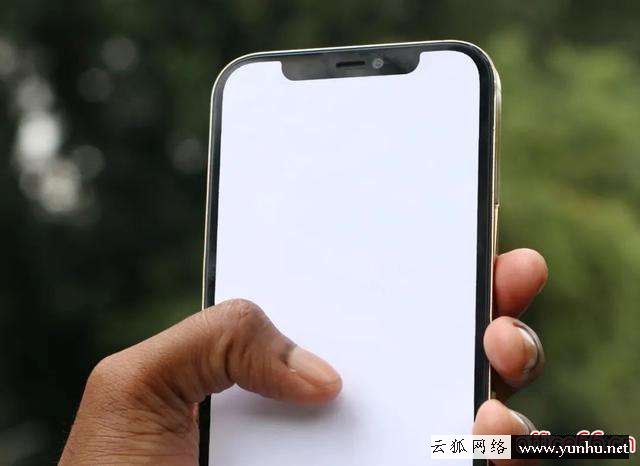 手機突然黑屏無法重啟怎么辦（iphone所有機型強制重啟方法）(2)