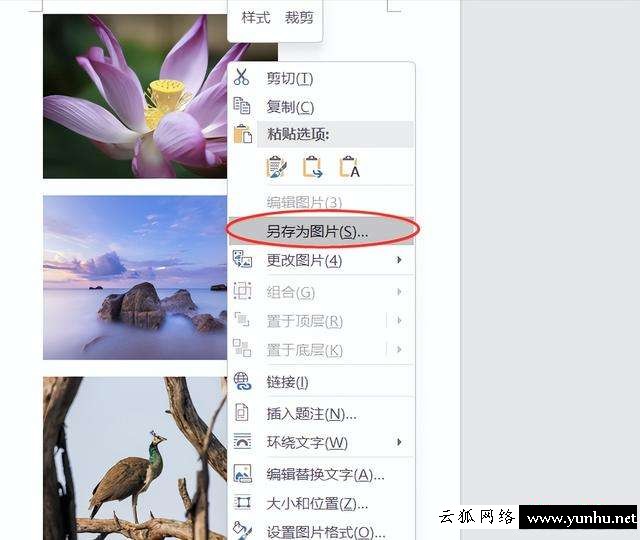 頁面大小怎么調整（Word里面怎么統一改圖片大小）(3)