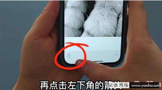 手機照片怎么下載到u盤里（原來手機里的照片傳到u盤這么簡單）(11)