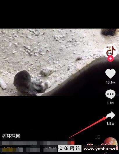 蘋果抖音怎么保存視頻（怎樣把抖音短視頻保存手機里）(6)
