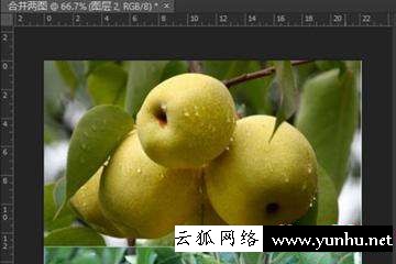 怎樣將圖片合成一張圖片（PS圖片合成教程）(3)