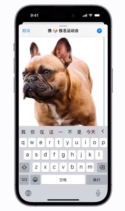 蘋果 iOS 16 自帶一鍵摳圖功能，來看看怎么用