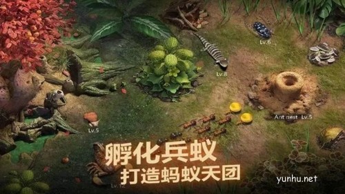 小小蟻國新手初期玩法思路攻略