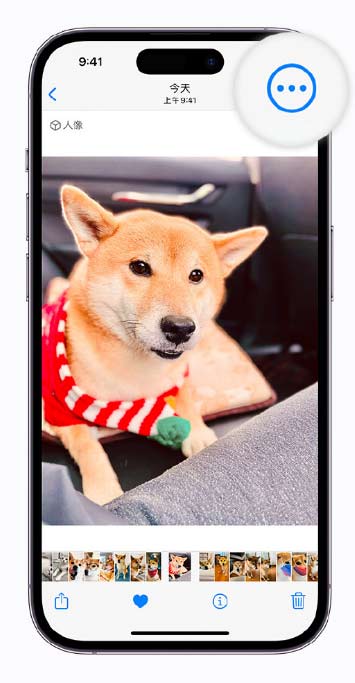 iOS 16 小技巧：支持拷貝編輯，輕松實現批量修圖