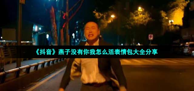 《從你的全世界路過》中燕子沒有你我怎么活淚奔表情包