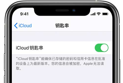 在 iPhone 上開啟 iCloud 鑰匙串之后會儲存哪些信息？