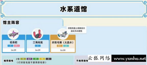 寶可夢朱紫道館一般順序通關攻略4