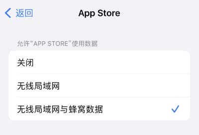 無法在 iPhone 上打開 App Store 怎么辦？