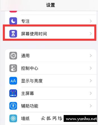iPhone訪問限制在哪