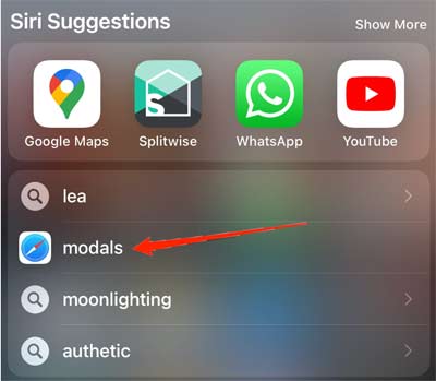 如何刪除iPhone 14歷史搜索記錄？