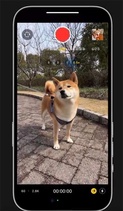 小技巧：在 iPhone 14 上手持拍攝也能保持畫面穩定