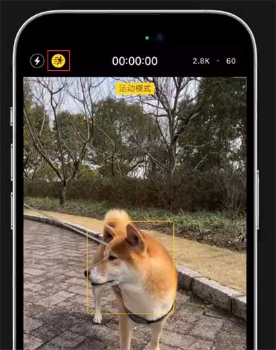 小技巧：在 iPhone 14 上手持拍攝也能保持畫面穩定