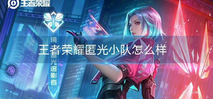 王者榮耀匿光小隊怎么樣
