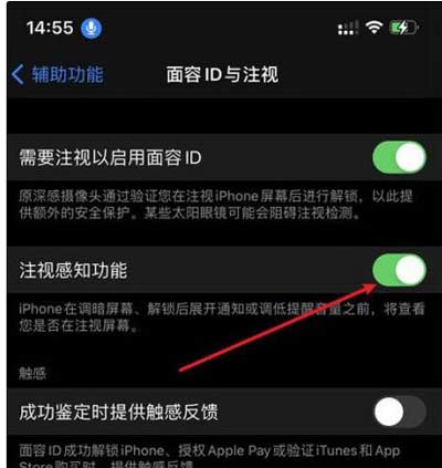 iPhone 14注視感知功能有什么用？注視感知功能開啟方法