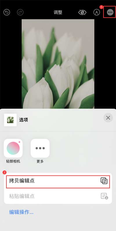 如何在 iPhone 上為照片添加富士濾鏡效果？